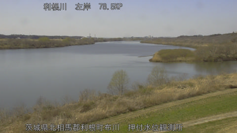 tonos2026031113_image