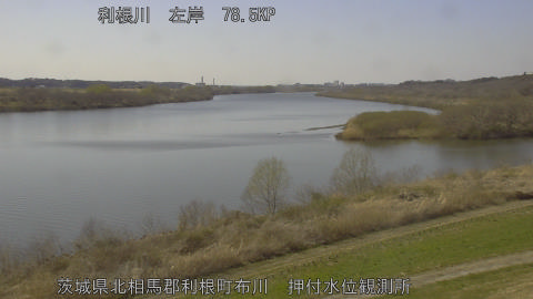 tonos2026031114_image