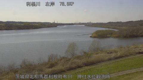 tonos2026031115_image