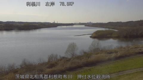 tonos2026031116_image