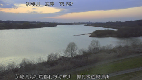 tonos2026031118_image