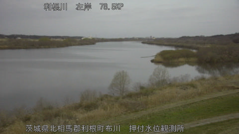 tonos2026031206_image