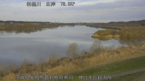 tonos2026031207_image