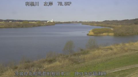 tonos2026031209_image