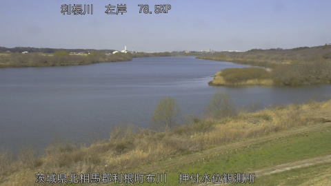 tonos2026031210_image