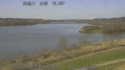 tonos2026031212_image