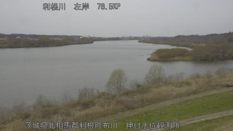 tonos2026031312_image