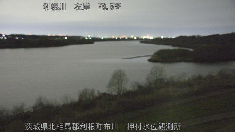 tonos2026031404_image