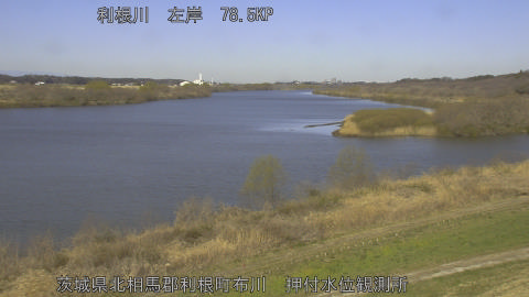 tonos2026031409_image