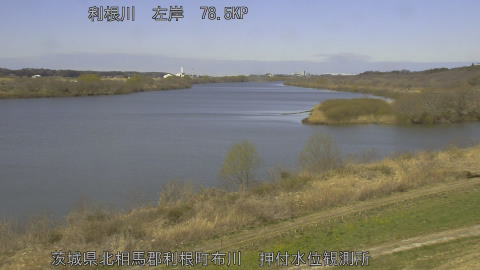 tonos2026031411_image