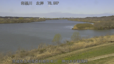 tonos2026031412_image