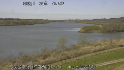 tonos2026031413_image