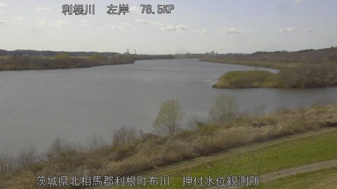 tonos2026031415_image