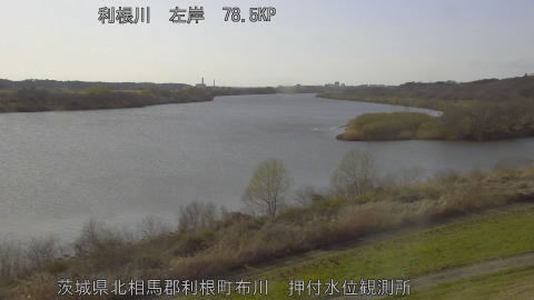 tonos2026031416_image