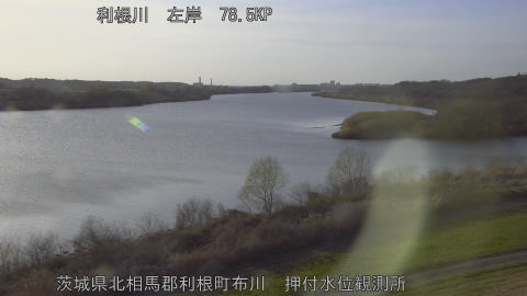 tonos2026031417_image