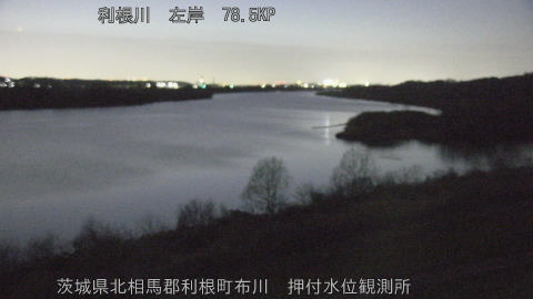 tonos2026031419_image