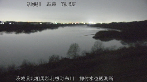 tonos2026031423_image