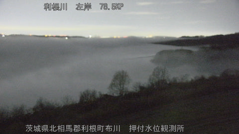 tonos2026031503_image