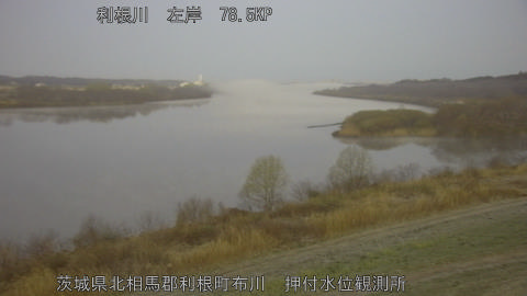 tonos2026031506_image