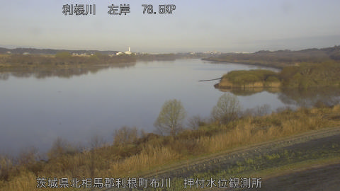 tonos2026031507_image