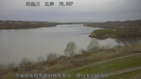 tonos2026031706_image