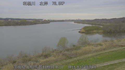 tonos2026031707_image