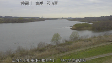 tonos2026031708_image