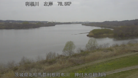 tonos2026031709_image