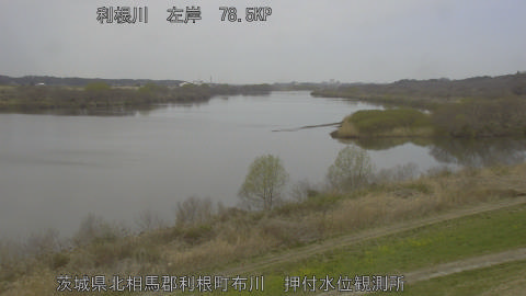 tonos2026031710_image