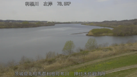 tonos2026031712_image