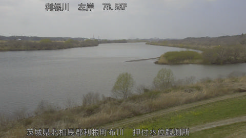 tonos2026031713_image