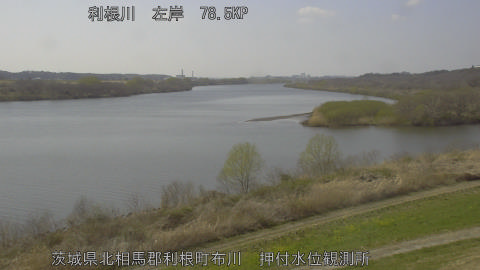 tonos2026031714_image