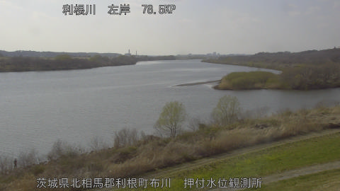 tonos2026031715_image