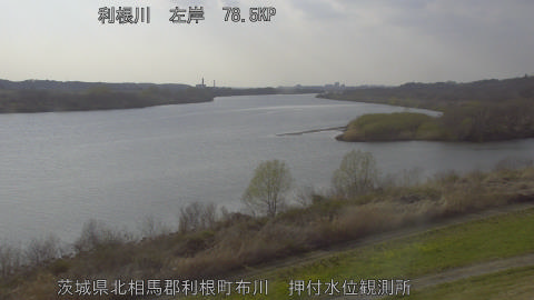 tonos2026031716_image