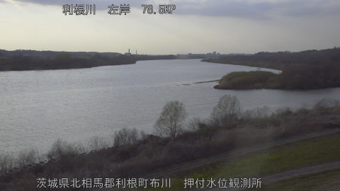 tonos2026031717_image