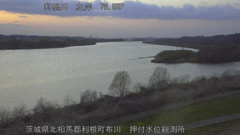 tonos2026031718_image