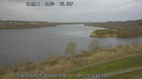 tonos2026031806_image