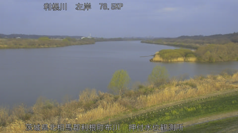 tonos2026031807_image