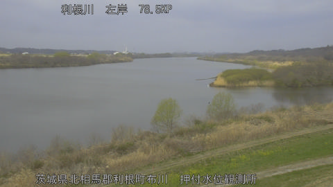 tonos2026031808_image