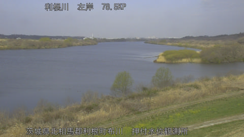 tonos2026031809_image