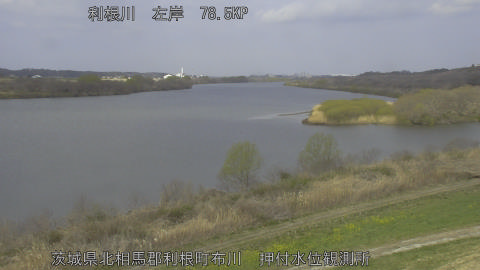 tonos2026031810_image