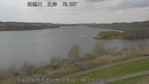 tonos2026031812_image