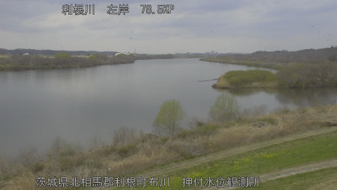 tonos2026031813_image