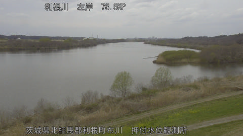 tonos2026031814_image