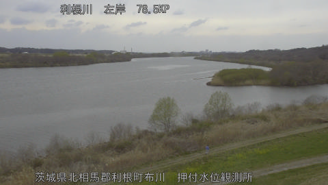 tonos2026031815_image