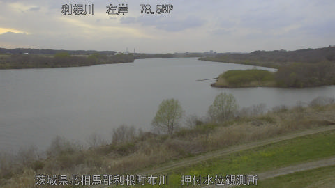 tonos2026031817_image