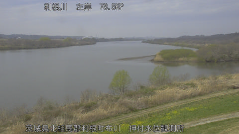 tonos2026031912_image