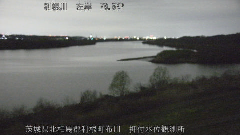 tonos2026032004_image