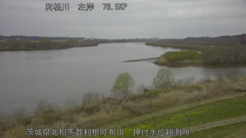 tonos2026032006_image