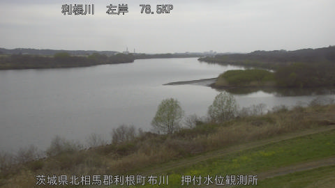 tonos2026032007_image